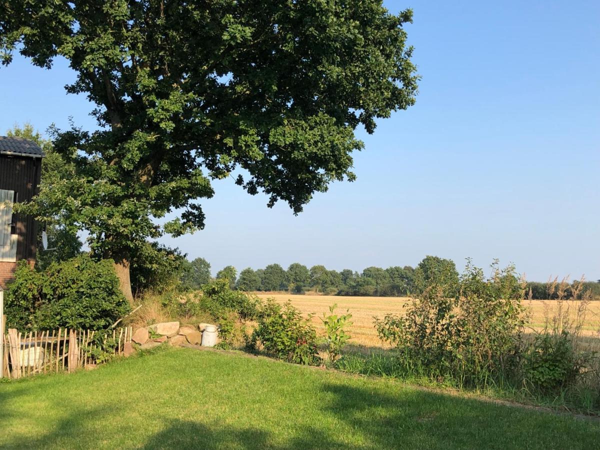 De Lütte Moehl
